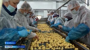 Вести. Южный Урал В Челябинске назначили нового ответственного за питание детей в школах