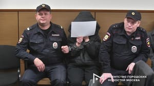 Новости Подозреваемую в торговле детьми многодетную мать арестовали в Москве