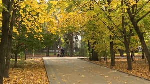 Вести. Дон Эфир от 25.10.2023 (21:05)