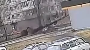 Новости - Момент падения дерева на машину в Новокузнецке попал на видео