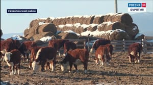 Россия 24. Бурятия Эфир от 22.01.2024 (20:00)