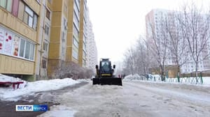 Вести-Курск В Курске сотрудники Госжилинспекции провели рейд по дворам МКД