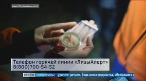 Вести. Ставропольский край Эфир от 05.02.2024 (09:00)
