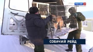 Вести. Ямал Эфир от 14.02.2024 (19:30)