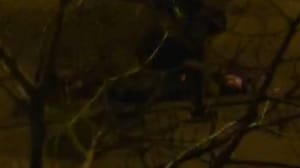 Новости Трое подростков грабили волгоградцев, угрожая молотком