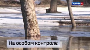 Вести. Псков - Эфир от 05.03.2024 (14:30)