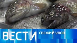 Вести Эфир от 08.03.2024 (11:00)
