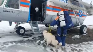 Новости На Камчатке нашли тело второго пропавшего под лавиной туриста