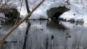 Вести Ульяновск 22 марта – всемирный день водных ресурсов