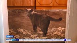 Вести-Кузбасс Эфир от 17.04.2024 (14:30)