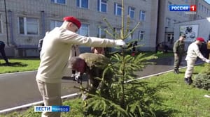 ВестиТамбов Возле областного сборного пункта появилась аллея молодых елей