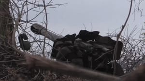 Новости Около Белгородской области уничтожены минометчики ВСУ и блиндажи противника