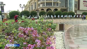 Вести-Курск В Курске развернулась экспозиция "Три художника – три курских характера"