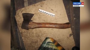 ВестиТамбов Жителя деревни Кугушево обвиняют в убийстве