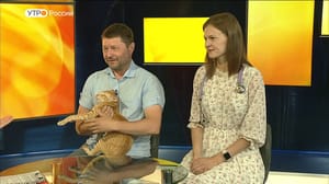 Утро России. Томск Эфир от 19.07.2024