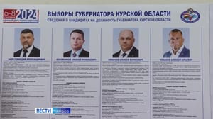 ВестиТамбов Для жителей Курской области стартует досрочное голосование за губернатора на территории Тамбовской области