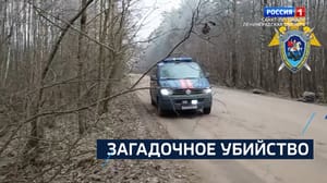 Россия 24. Санкт-Петербург Эфир от 12.11.2024