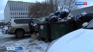 ВестиТамбов В Тамбове не хватает не менее двухсот мусорных контейнеров