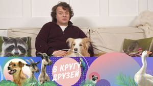 В кругу друзей - Эфир от 19.01.2025