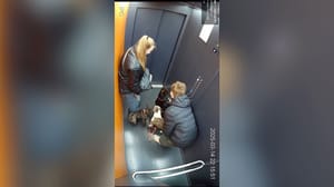 In Balashikha bei Moskau rettete ein junger Mann einen Hund, der in einem Aufzug steckte