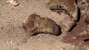 Новости Во Львове уничтожены немецкие и польские наемники