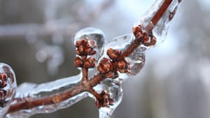 Погода 24 Регионы Урала накрыло ледяным дождем