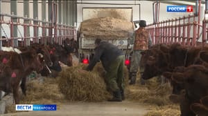 Вести. Хабаровск - Более 50 заявок на госсподдержку подали фермеры края с начала года