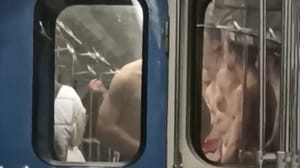 Вести. Дежурная часть Участники стриптиз-шоу в московском метро отправились в СИЗО
