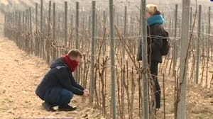 Вести Севастополь Эфир от 17.03.2023 (14:30)