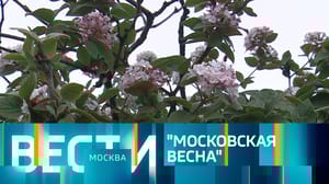 Вести-Москва Эфир от 29.04.2023