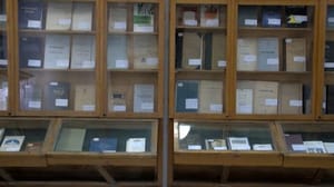 Вести. Саратов В следующем году научная библиотека СГУ отметит свое 115-летие