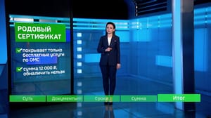 Инструкция Родовый сертификат