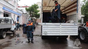 Вести – Амурская область Пропавшего в Архаринском округе ребенка ищут почти 70 человек