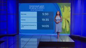 Погода 24. Амурская область Переменная облачность, в отдельных районах дожди, местами ливни