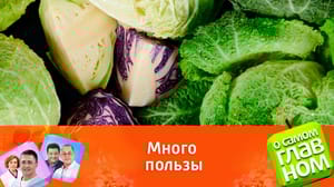 О самом главном Какие овощи защитят от онкологических заболеваний