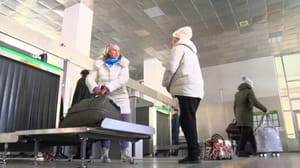 Вести – Амурская область Амурчанам разъяснили правила провоза продуктов и растений через границу