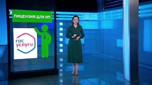 Инструкция Лицензия для ИП