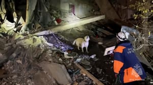 Вести. Дежурная часть Эфир от 16.11.2023