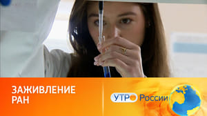 Утро России Лекарство из краба: новые биомедицинские разработки российских ученых