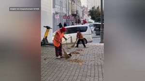 Вести. Приморье Видеоролик о трудолюбивом мальчике во Владивостоке растопил сердца чиновников
