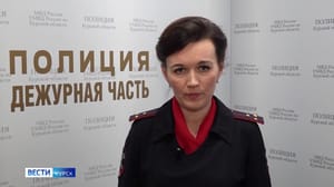 Вести-Курск В курскую полицию за новогодние праздники поступило 337 сообщений о правонарушениях