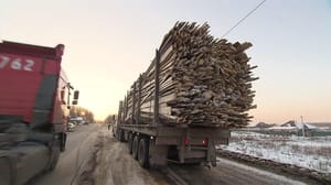 Вести. Дежурная часть Борьба с черными лесорубами и убийство инкассаторов: смотрите в итоговом выпуске