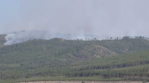 Вести-Чита Лесной пожар площадью 8 га бушует в районе села Бургень Читинского района