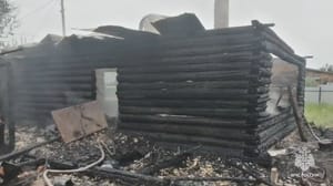 Вести. Регион-Тюмень Мужчина погиб при пожаре в Тюменской области