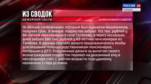 ВестиТамбов - Из сводок дежурной части: обман пенсионерки, дачная кража и мошенничество с пассажирскими перевозками