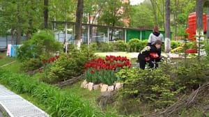 Вести. Приморье Наполненную заботой жизнь дарят несовершеннолетним в реабилитационном центре Приморья