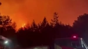 Новости Жертвами пожаров в окрестностях турецкого Измира стали три человека