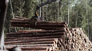 Новости Финская деревообрабатывающая отрасль в кризисе из-за антироссийских санкций