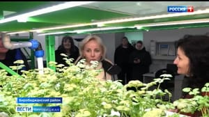 Вести-Биробиджан В Центре образования им. Пеллера активно развивают агролабораторию и мастерскую 3D – фронту