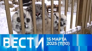 Vesti Ether von 15.03.2025 (11:00)